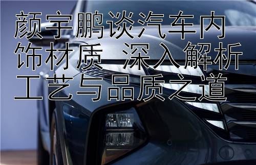 颜宇鹏谈汽车内饰材质 深入解析工艺与品质之道