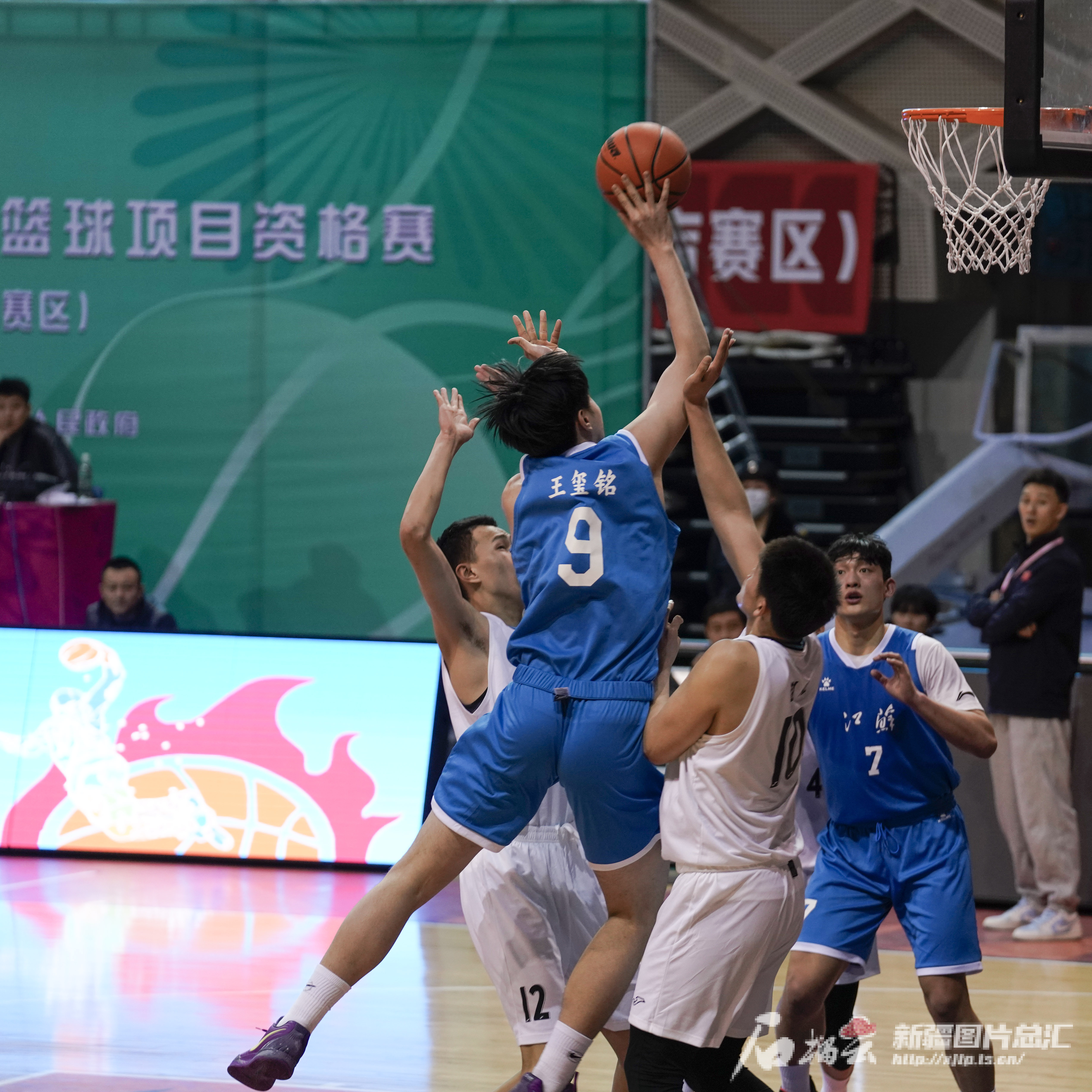 全运会篮球现场直播_(全运会篮球现场直播在哪看)