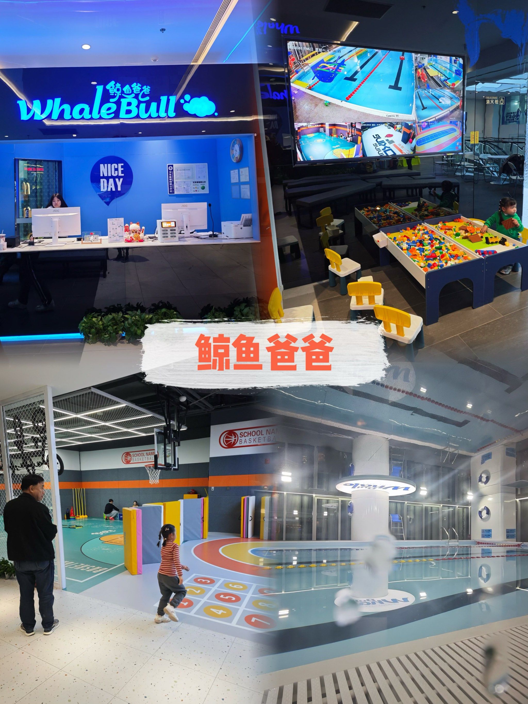 鲸体育直播_(鲸体育直播官网最新版)