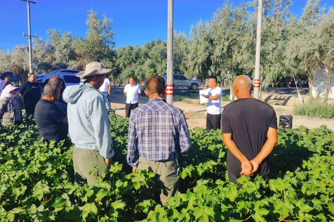 张新林_(张梓琳比基尼长腿图片)