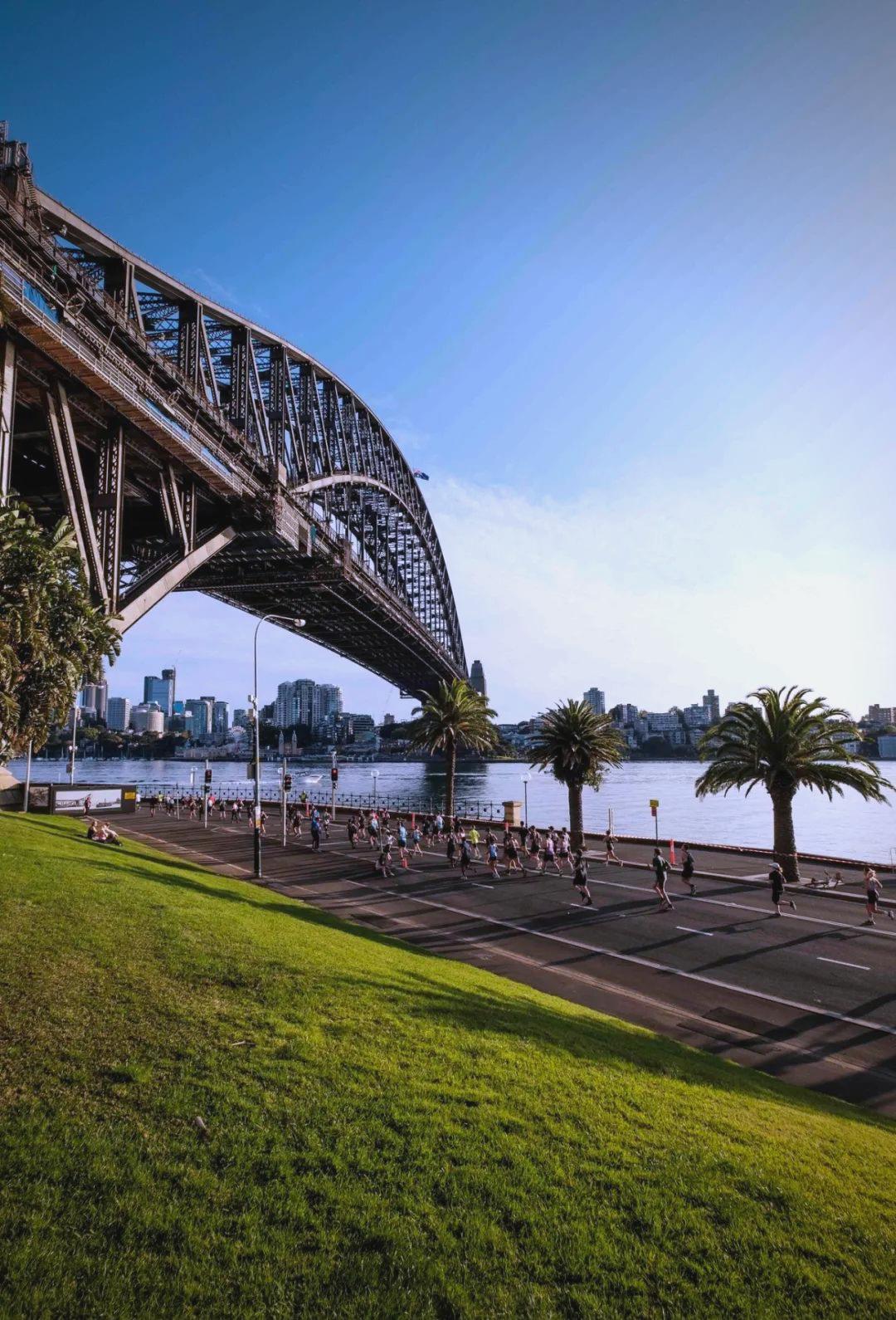 悉尼赛_(悉尼赛车公园) 第1张 悉尼赛_(悉尼赛车公园) 第1张