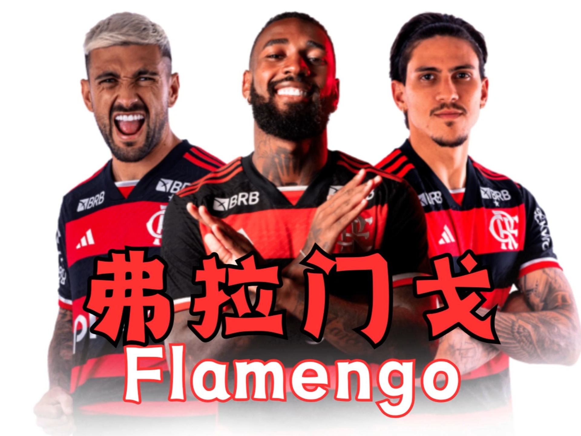 关于世俱杯B组最新积分排名榜巴甲球队博塔弗戈登顶的信息