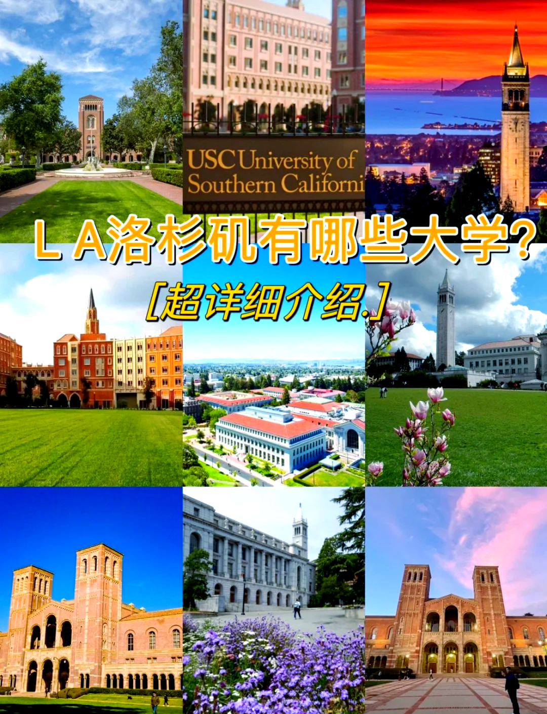 NCAA:圣地亚戈大学VS加州大学河滨分校
