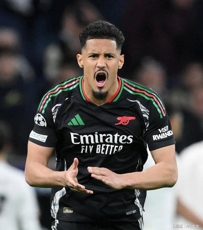 皇马签萨利巴可能性正减弱皇马考虑进一步补强防线的简单介绍  第2张