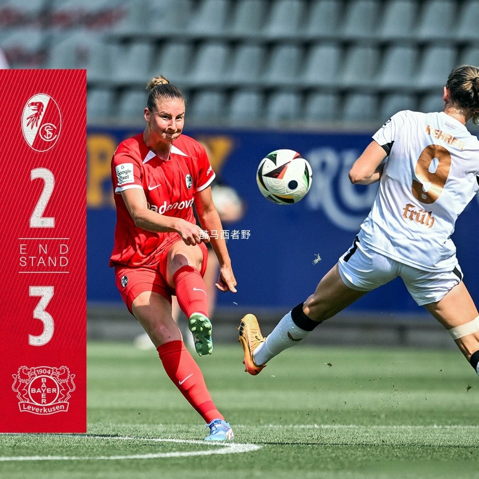 德甲女：柏林联女足VS汉堡女足的简单介绍