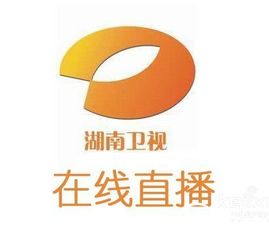 包含男篮欧锦赛哪里看直播？腾讯体育将在线直播的词条  第2张