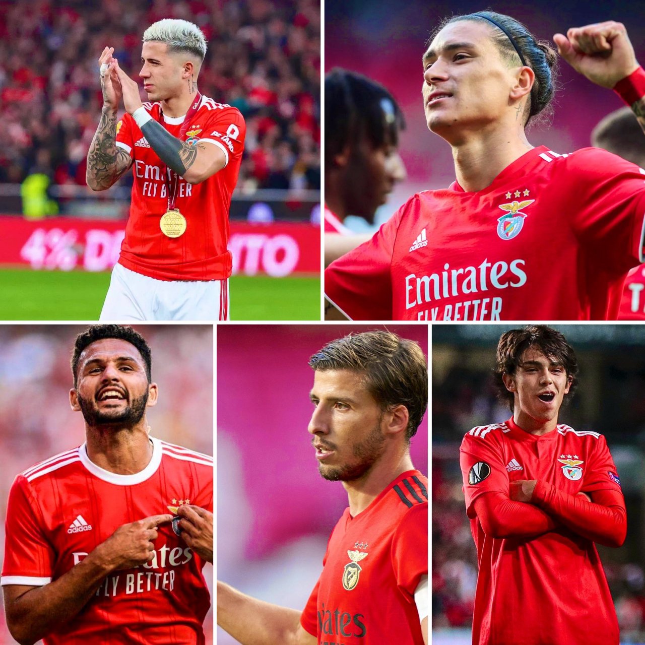 包含菲利克斯希望在夏窗回归本菲卡但多个因素制约交易的词条 第2张 包含菲利克斯希望在夏窗回归本菲卡但多个因素制约交易的词条 第2张