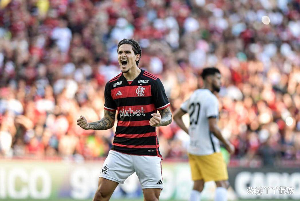 巴甲：弗鲁米嫩塞VS弗拉门戈的简单介绍  第2张