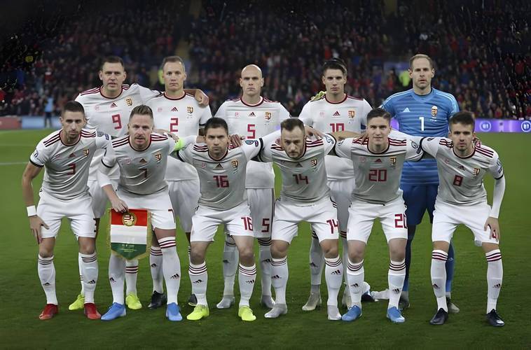 世预赛爱尔兰VS匈牙利预测爱尔兰主场作战的简单介绍  第1张