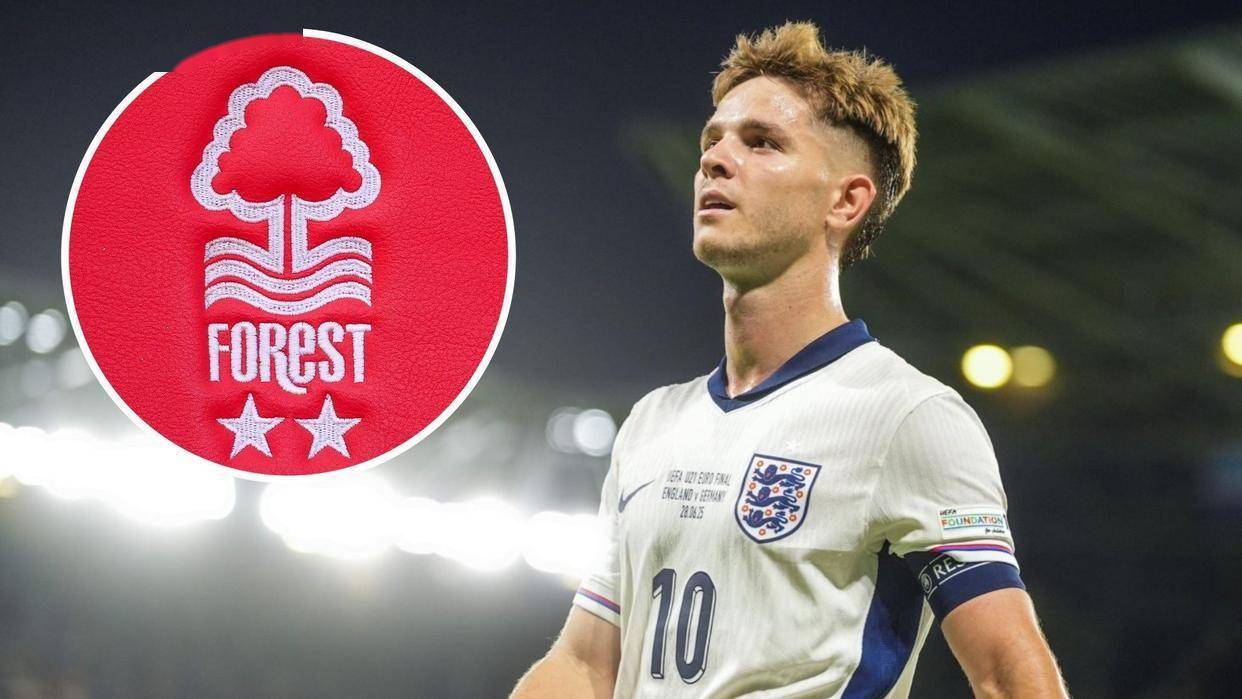 包含曝哈钦森可能加盟诺丁汉森林转会费3750万镑的词条