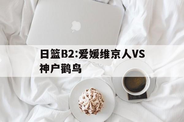 关于日篮B2:爱媛维京人VS神户鹳鸟的信息 第1张 关于日篮B2:爱媛维京人VS神户鹳鸟的信息 第1张