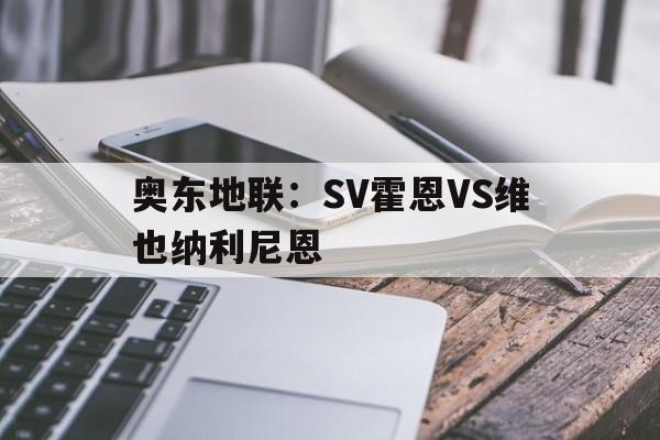 奥东地联：SV霍恩VS维也纳利尼恩的简单介绍  第1张