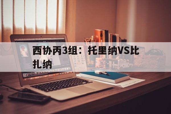 西协丙3组：托里纳VS比扎纳的简单介绍