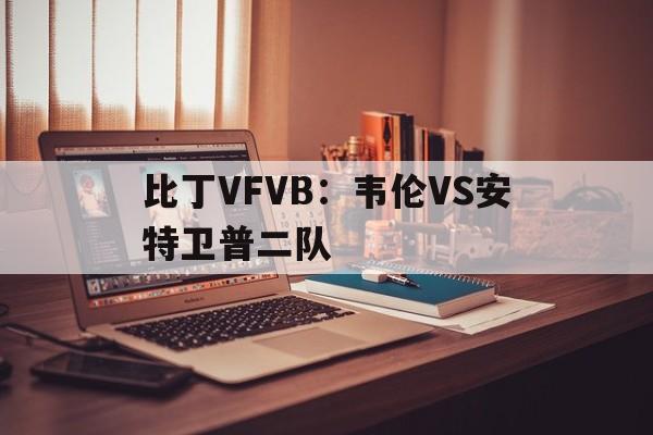关于比丁VFVB：韦伦VS安特卫普二队的信息