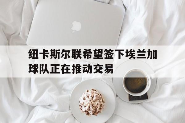 关于纽卡斯尔联希望签下埃兰加球队正在推动交易的信息