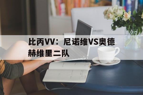 比丙VV：尼诺维VS奥德赫维里二队的简单介绍  第1张